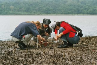 Gemeinsam untersuchen deutsche und indonesische Wissenschaftler die &Ouml;kologie von Mangroven in der Segara Anakan Lagune (Zentral-Java, Indonesien)