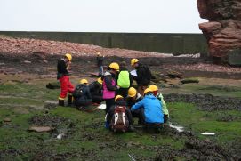 Küstenforscher nehmen Proben auf Helgoland