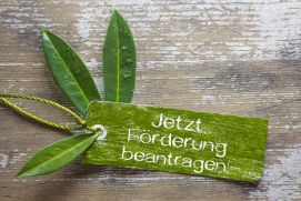 Das Bild stellt ein grünes Label mit der Beschriftung „Jetzt Förderung beantragen“ zusammen mit Blättern dar. Es wird vom BIBB für die Bewerbung der neuen Förderrichtlinien der Modellversuche zur Berufsbildung für nachhaltige Entwicklung (BBNE) verwendet, die das BIBB aus Mitteln des BMBF fördert, mit inhaltlichen Überschneidungen zu FONA.