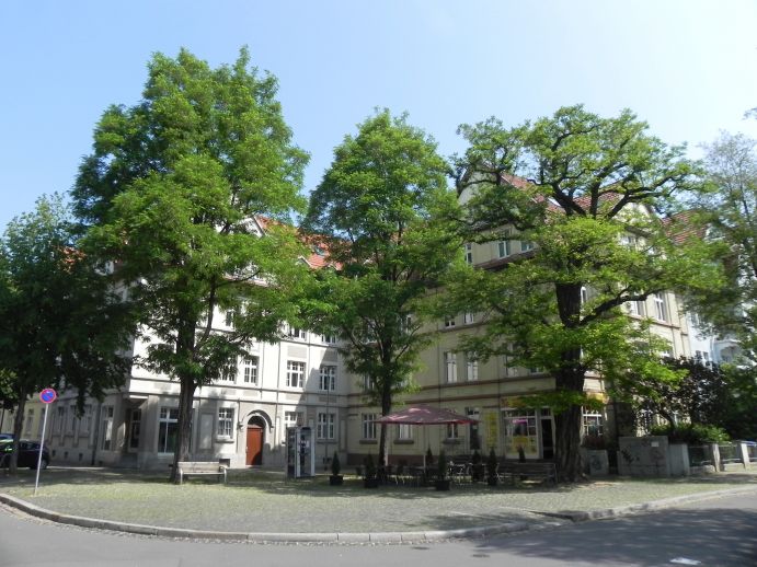 Große Bäume werfen Schatten auf Gebäude.