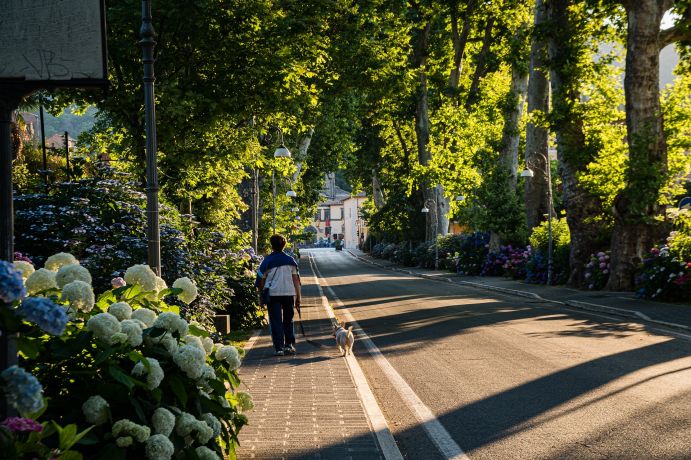 Bäume und Büsche sorgen dafür, dass sich die Stadt auch im Sommer nicht zu sehr aufheizt. 