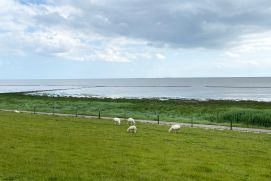 Land-Meer-Übergangzonen am Wattenmeer könnten aufgrund der Folgen des Klimawandels gravierenden Veränderungen unterliegen. 