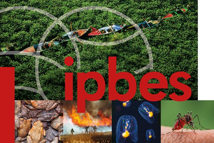 Thematisches IPBES-Assessment über invasive gebietsfremde Arten und deren Kontrolle