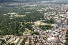 Was brauchen Stadtbäume in Zeiten des Klimawandels? URBORETUM-Forschende wollen zukunftsfähige Bedingungen schaffen.