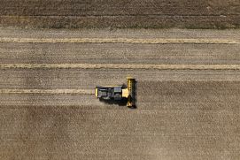 Das Projekt Dcrops4OneHealth erforscht, wie nachhaltige Anbaumethoden die Landwirtschaft die Gesundheit von Pflanzen verbessert und gleichzeitig die Biodiversität erhalten können. 