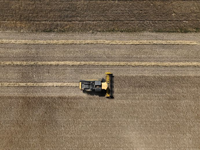 Das Projekt Dcrops4OneHealth erforscht, wie nachhaltige Anbaumethoden die Landwirtschaft die Gesundheit von Pflanzen verbessert und gleichzeitig die Biodiversität erhalten können. 