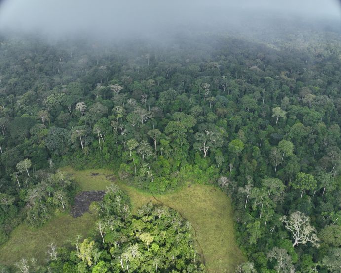 Das Konsortium führt Bodenmessungen an fünf Standorten in Kamerun und der Demokratischen Republik Kongo durch.