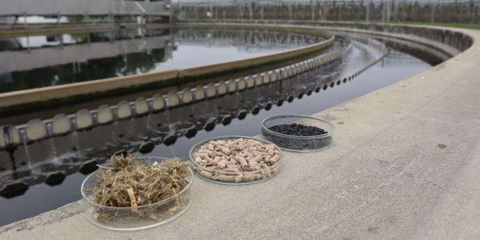 Der Weg zur biogenen Aktivkohle: Links grasartiges Landschaftspflegematerial, in der Mitte daraus produzierte Pellets, die über Pyrolyse und Aktivierung zur biogenen Aktivkohle (rechts) verarbeitet wurden.