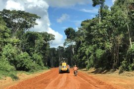 Das Forschungsprojekt PRODIGY befasst sich intensiv mit der Frage, wie die Böden des Amazonas-Regenwaldes in Zukunft in ihrer Widerstandsfähigkeit gestärkt werden können.