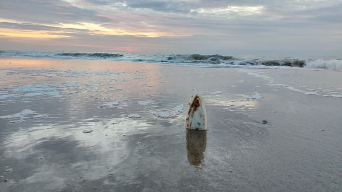 Das Wattenmeer ist UNESCO-Weltnaturerbe und grenzt an die Niederlande, Deutschland und Dänemark.