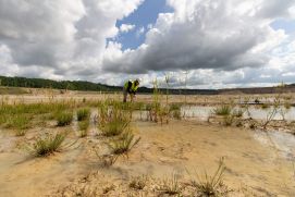 Eine Forscherin des Projekts GiBBS führt ein Libellenmonitoring durch. Sie untersucht dafür ein zufällig entstandenes Pioniergewässer auf der Abbausohle eines Kalksteinbruchs.